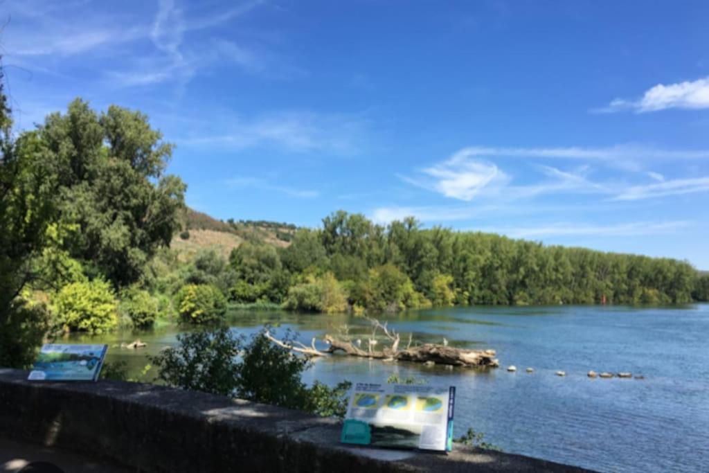 Ferienwohnung Les Loges De Bacchus L'Epicurieux Chonas-lʼAmballan Exterior foto