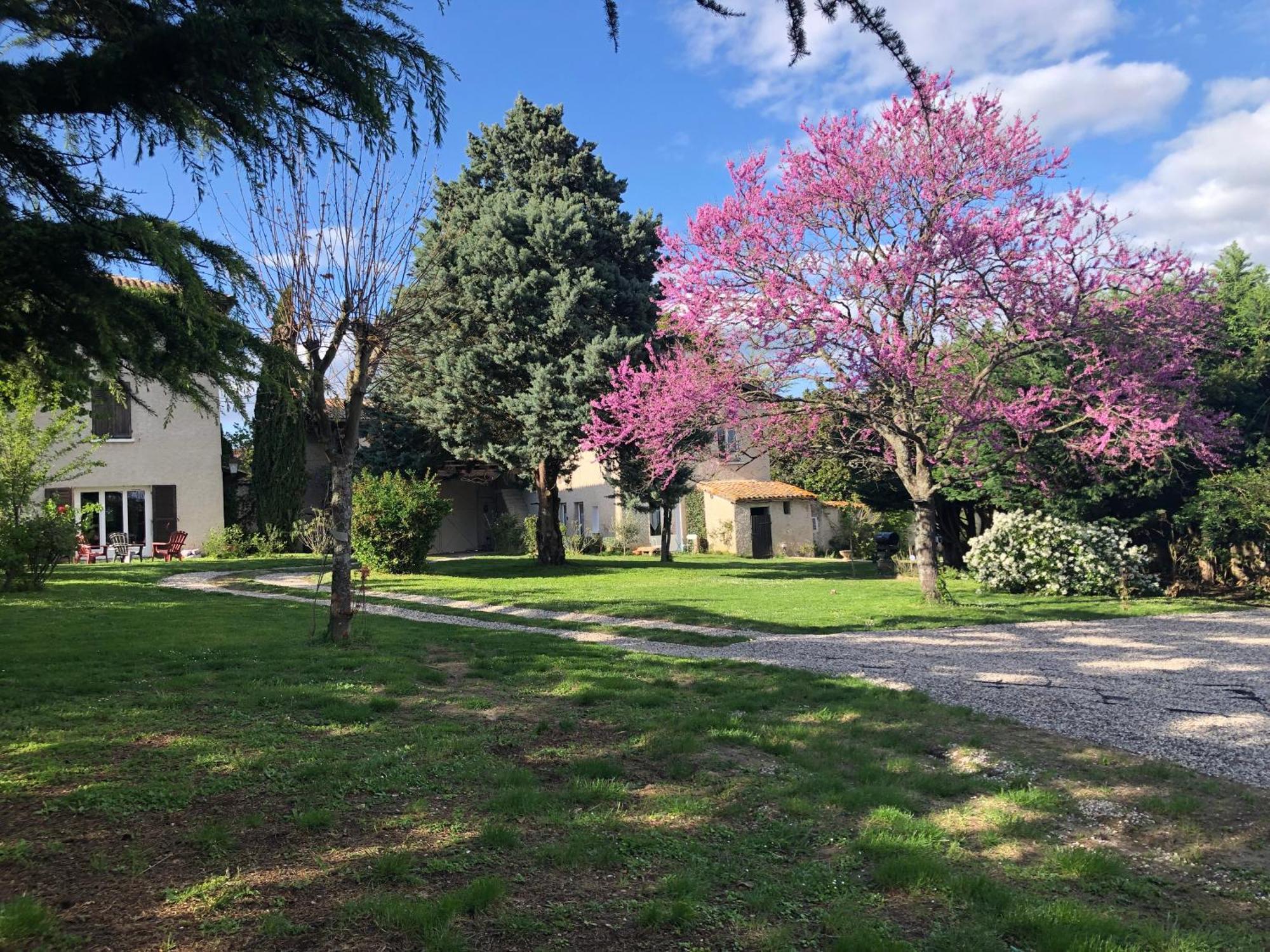 Ferienwohnung Les Loges De Bacchus L'Epicurieux Chonas-lʼAmballan Exterior foto